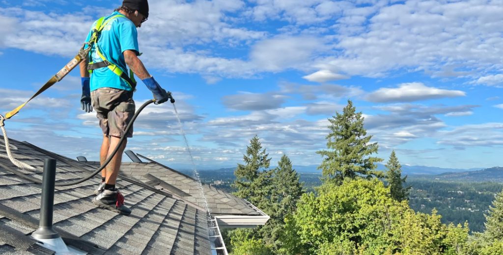 Professional gutter cleaning removing leaves and debris from roof gutters