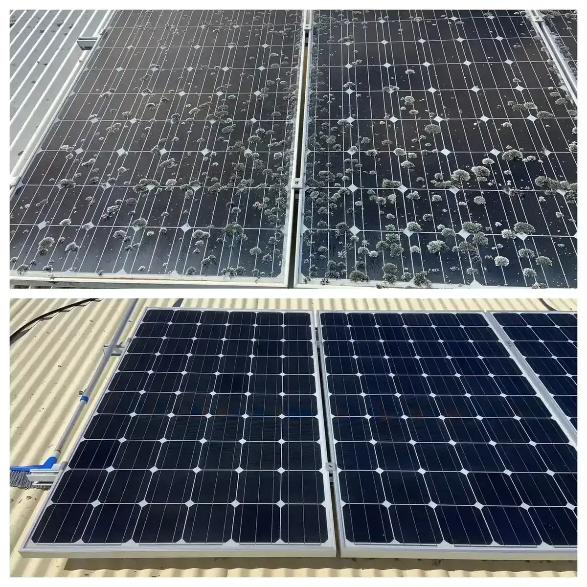 Professional solar panel cleaning team on roof